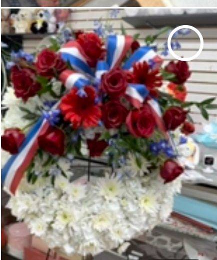 El Jardin Flower Shop